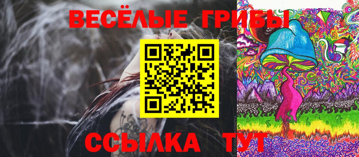Джанкой  Псилоцибиновые грибы Psilocybine cubensis  Вход с VPN 